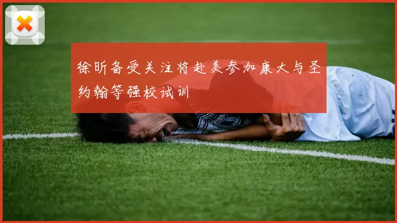 徐昕备受关注将赴美参加康大与圣约翰等强校试训