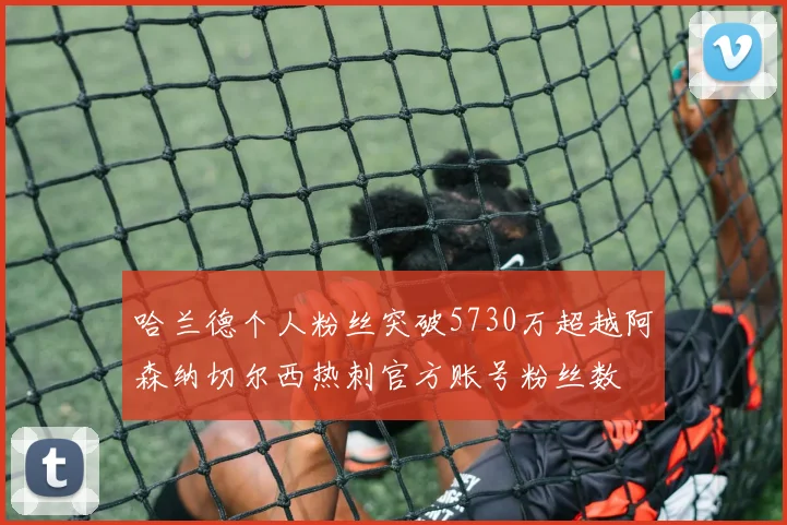 哈兰德个人粉丝突破5730万超越阿森纳切尔西热刺官方账号粉丝数